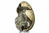 Septarian Dragon Egg Geode - Sparkly Black Crystals #308834-2